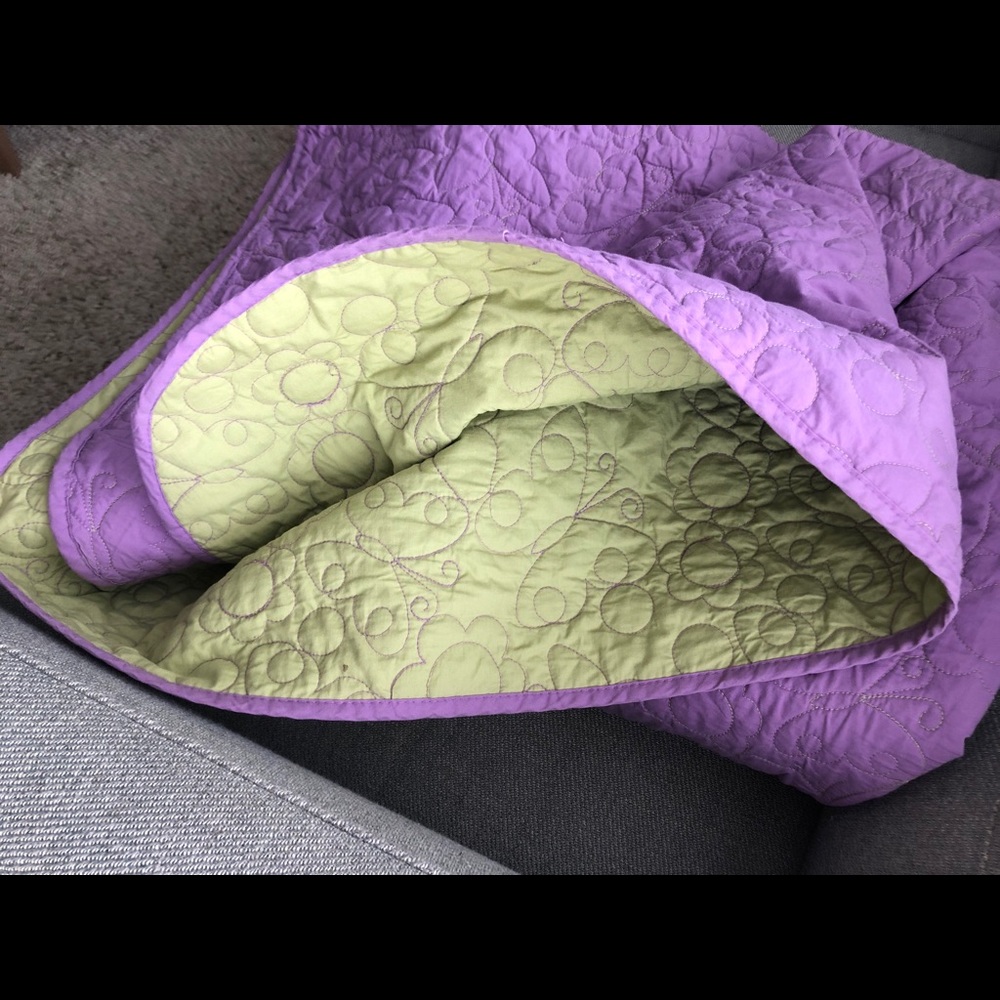 Quilted bedspread/coverlet & shams  (sz full)